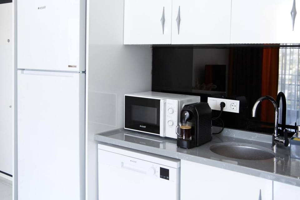 Coffee/tea facilities, Kitchen or kitchenette, dishwasher, minibar