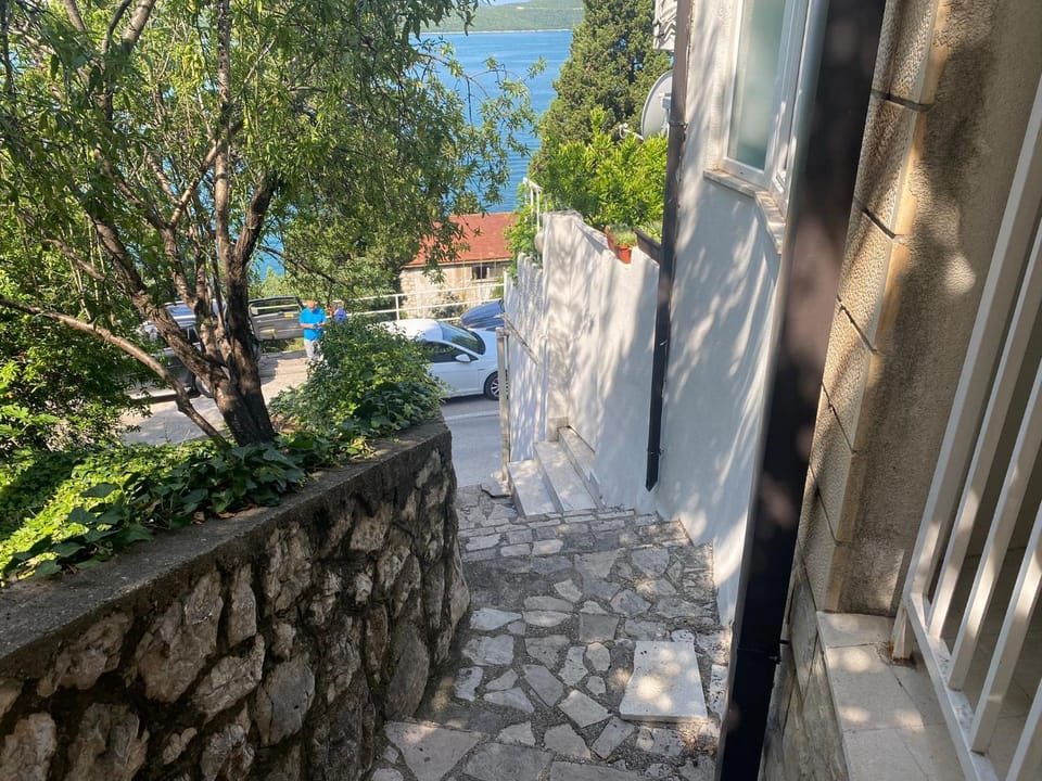 Sea view, Street view