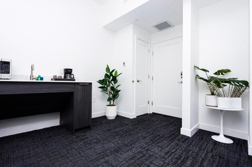 Modern Studio in Historic Boston - Unit #102 Apartment in Boston