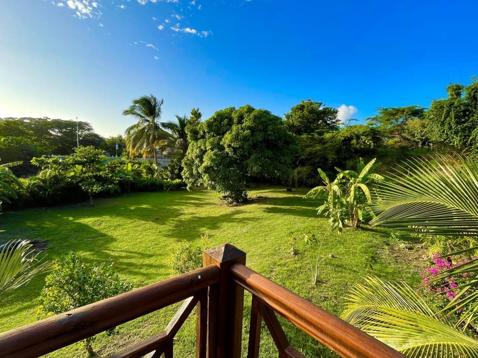 Day, Natural landscape, Garden, Garden, Garden view