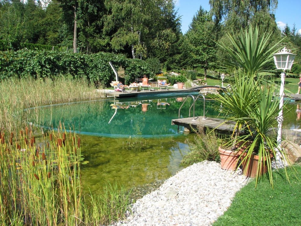 Day, Swimming pool, Swimming pool