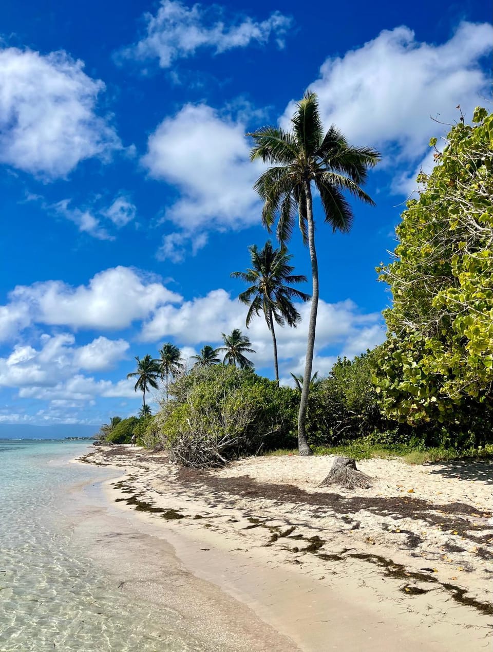 Beach, Hiking