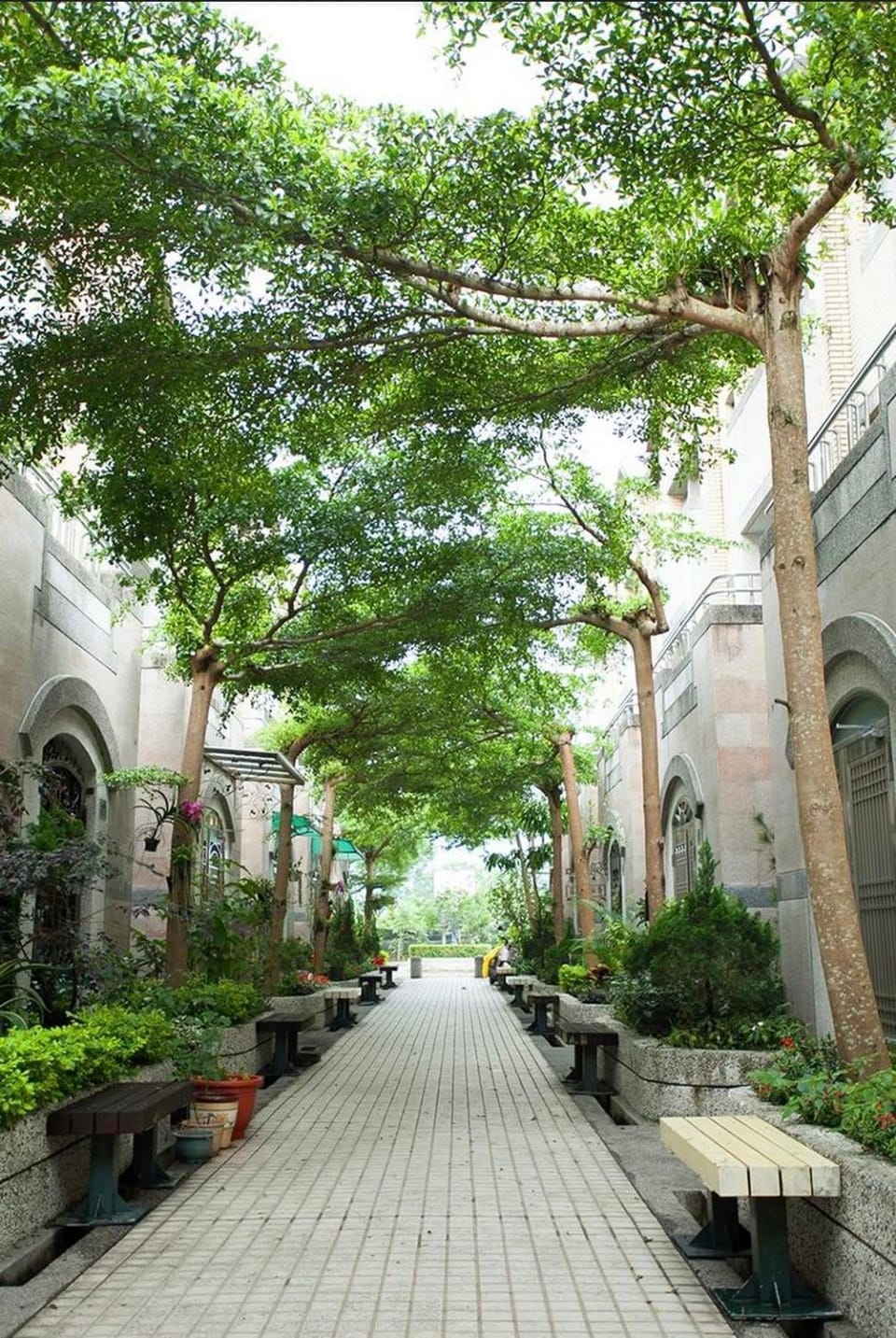 Property building, City view, Garden view, Street view