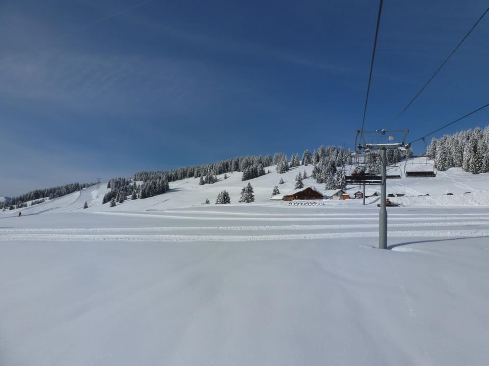 Natural landscape, Skiing