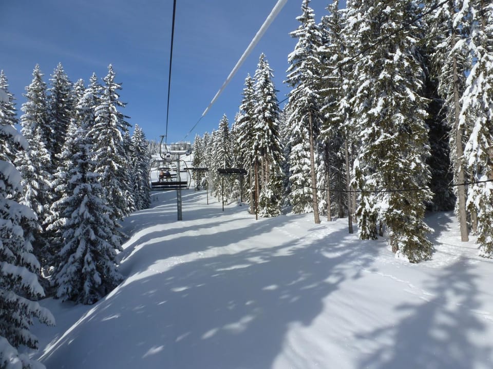 Skiing