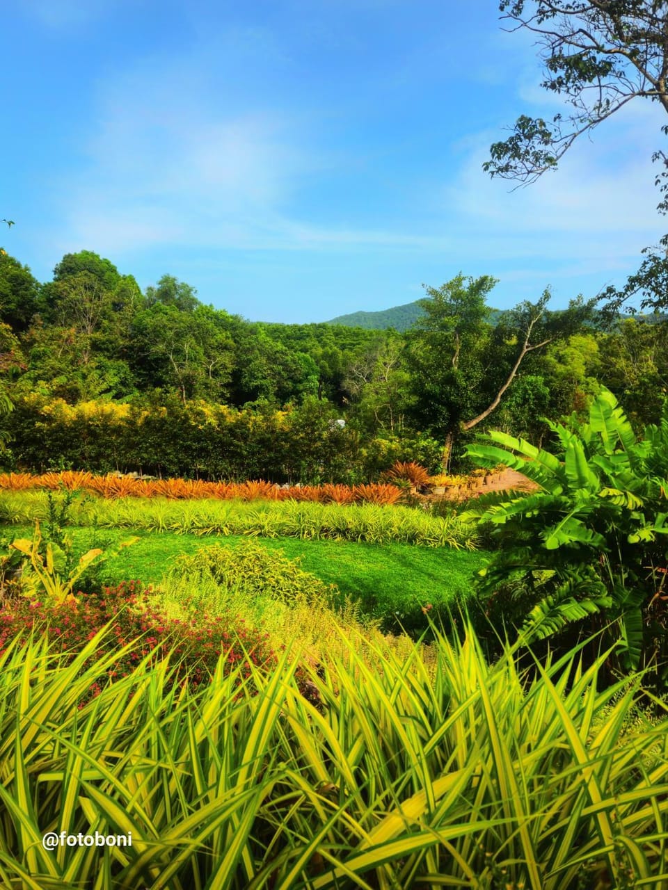 Swiss Bonihouse Koh Yao Yai Bed and Breakfast in Krabi Changwat