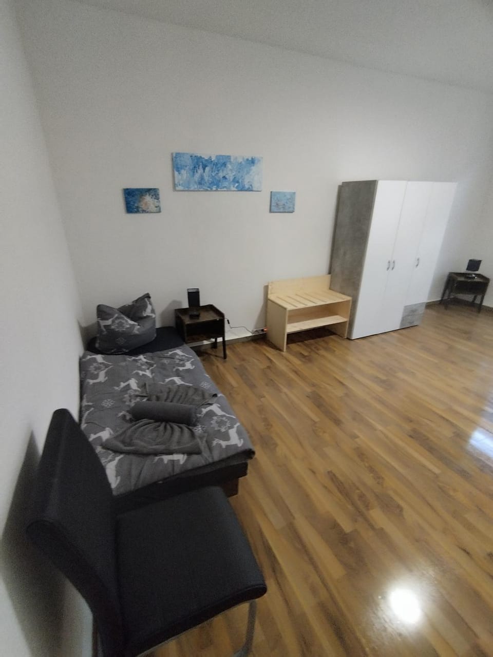 Bed, Living room, Photo of the whole room, Bedroom