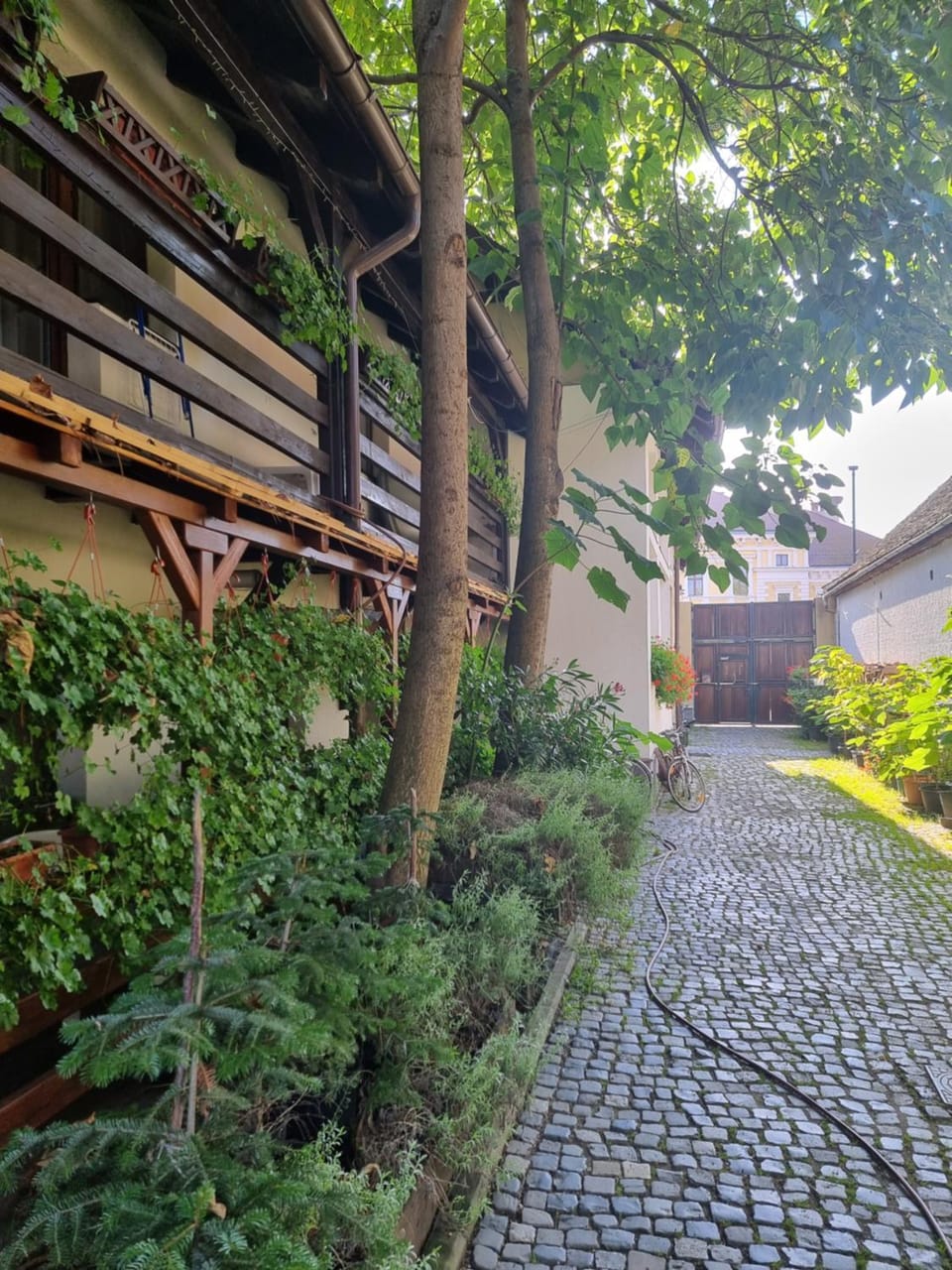 Munich Residence Apartment in Brașov County