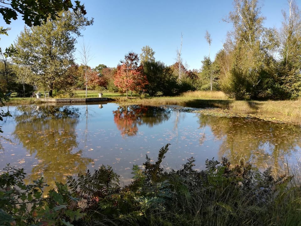 Lake view