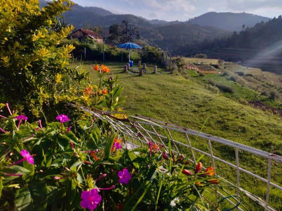 Nearby landmark, Spring, Day, Natural landscape, Garden, Garden view, Mountain view