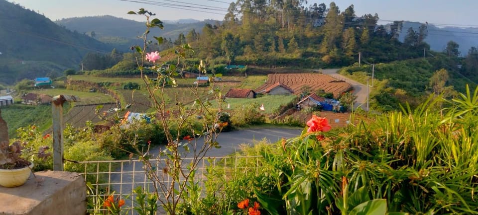 Nearby landmark, Spring, Natural landscape, Garden, Garden view, Mountain view, group of guests