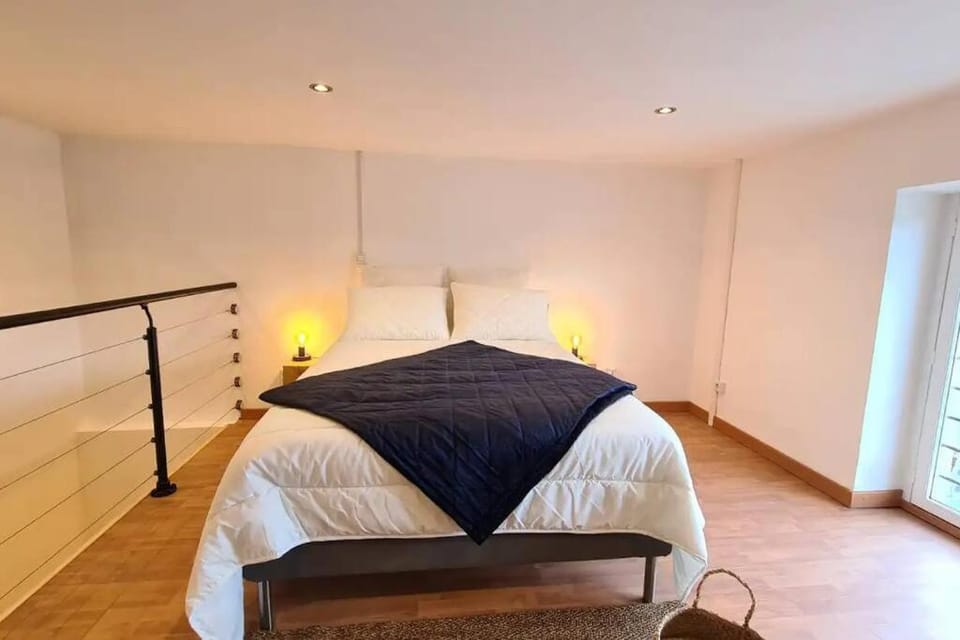 Magnifique duplex, tout confort, 10min à pied Gare Apartment in Grenoble