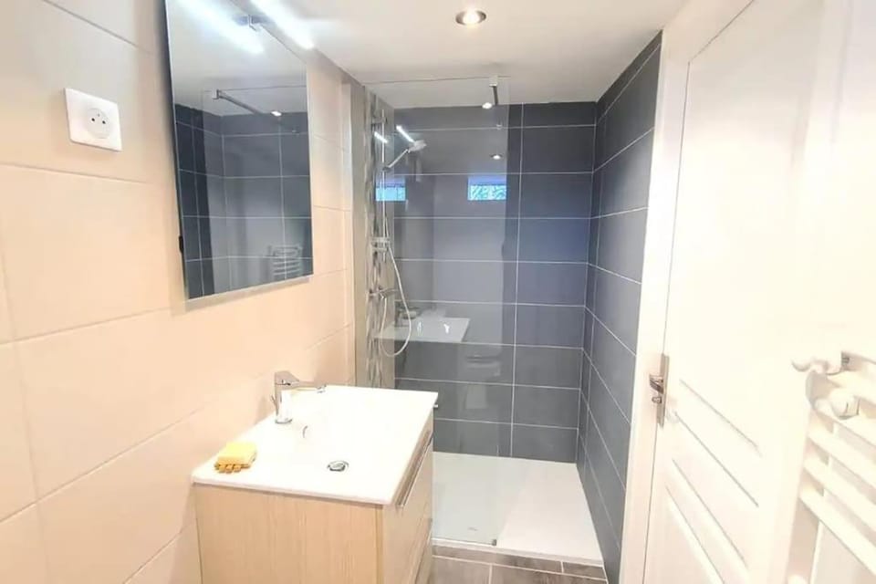 Magnifique duplex, tout confort, 10min à pied Gare Apartment in Grenoble