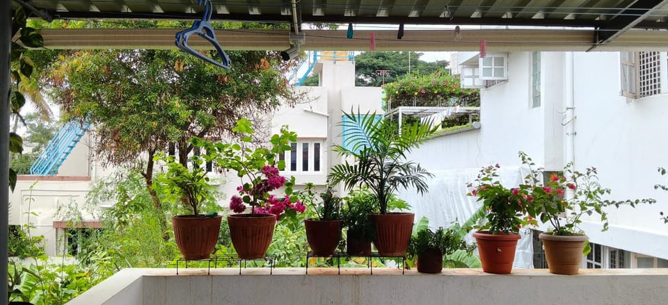 Komorebi Home stay Vacation rental in Mysuru