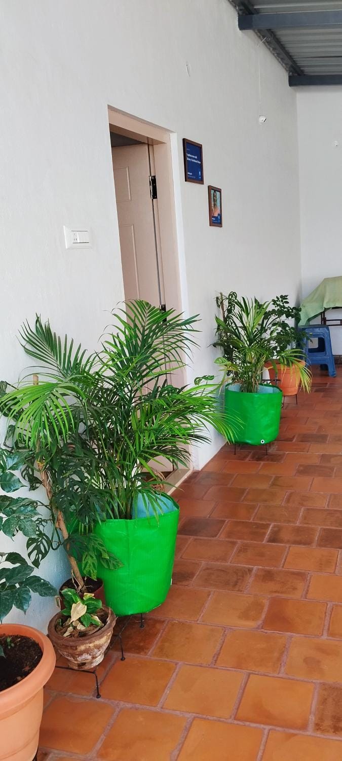 Garden view