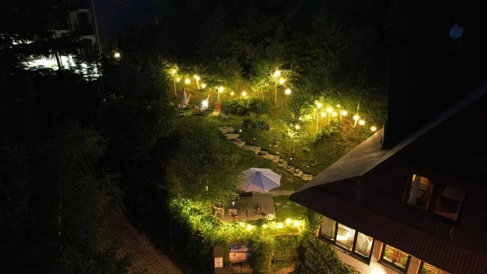 Night, Garden, Garden view