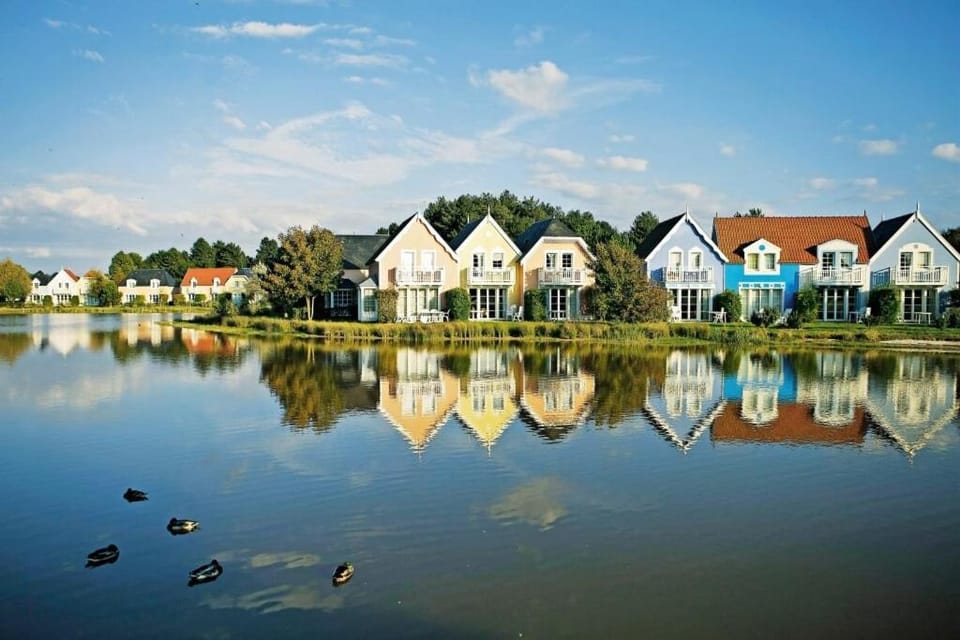 Lake view
