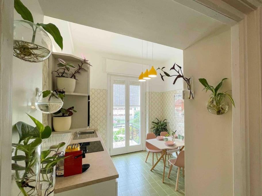 Kitchen or kitchenette, minibar