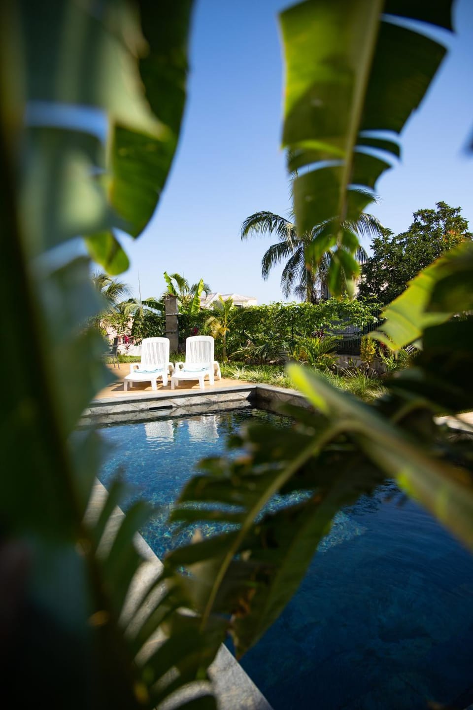 Manapany and Rose House in Réunion