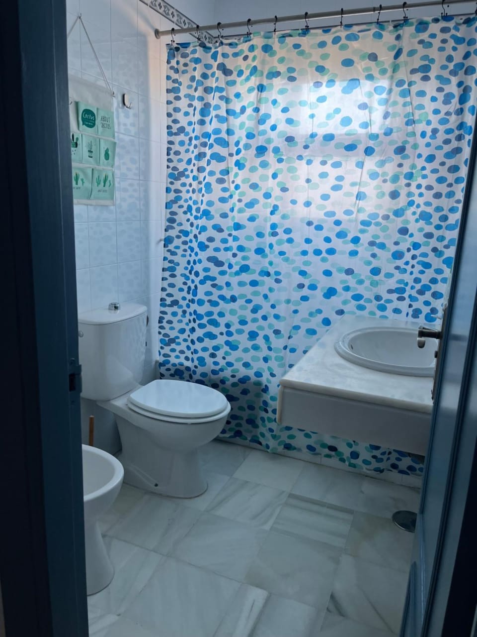 Bathroom, Bath, bidet