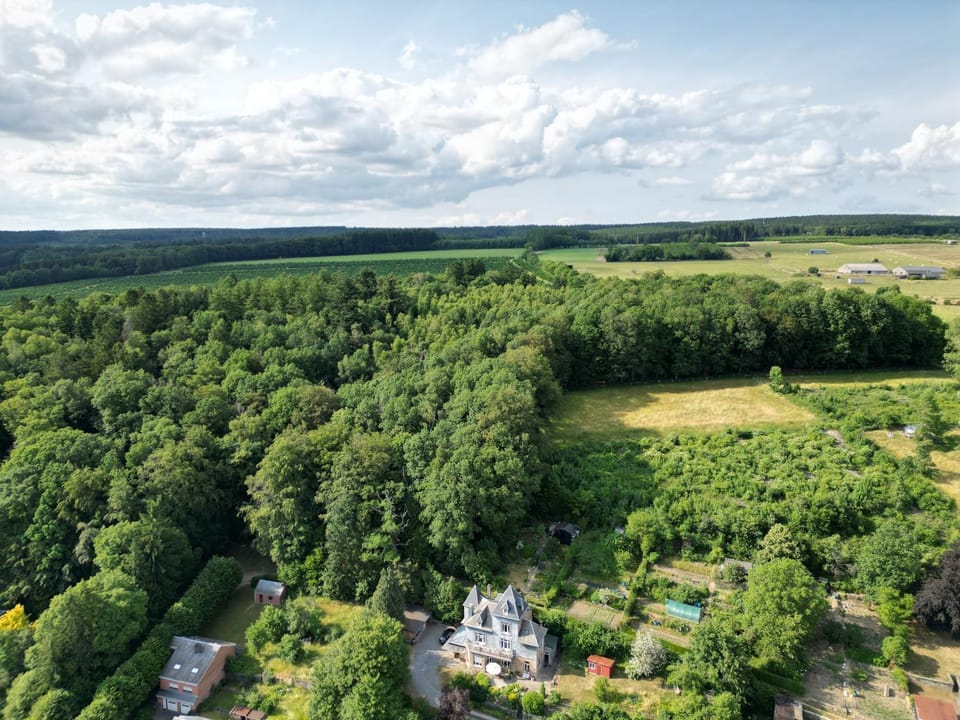 Nearby landmark, Spring, Day, Natural landscape, Bird's eye view