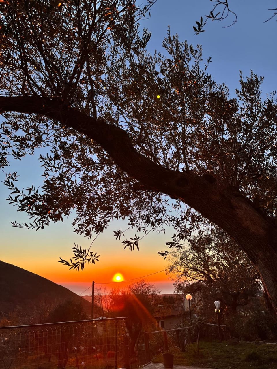 Casa Tommasini Bed and Breakfast in Campania