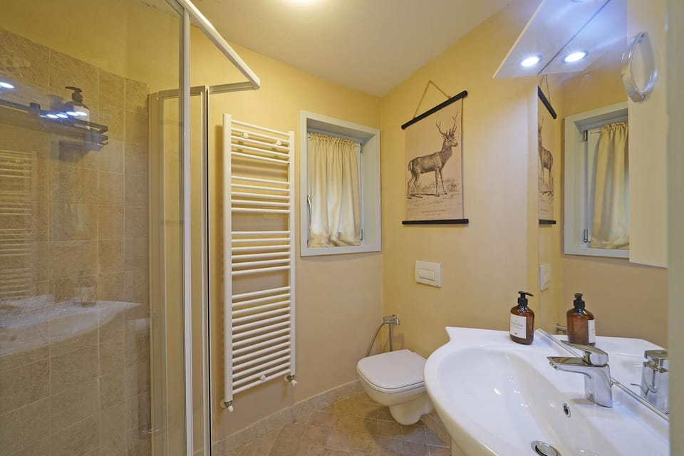 Shower, Toilet, Bathroom, towels