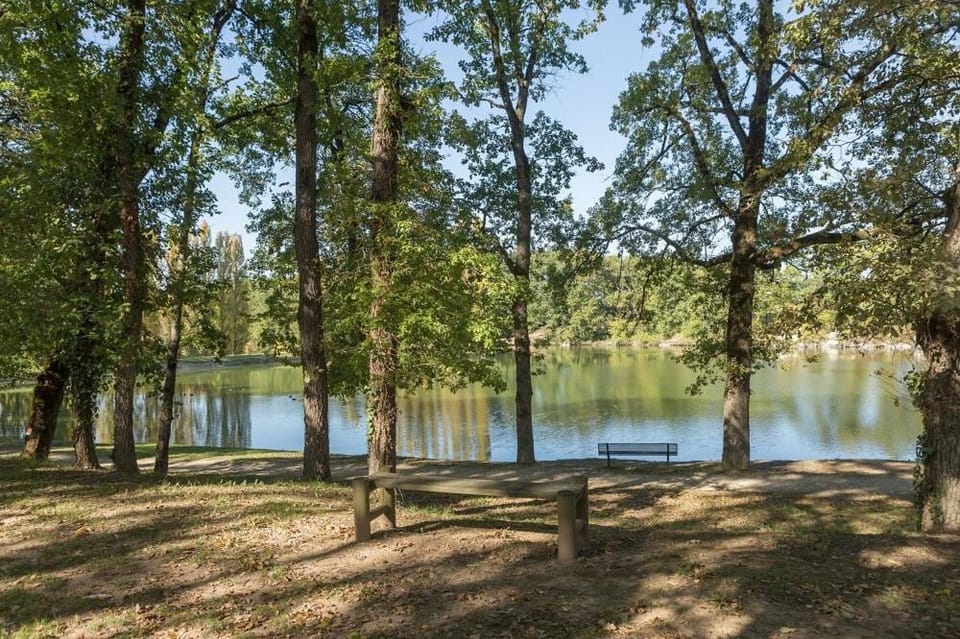 Autumn, Lake view