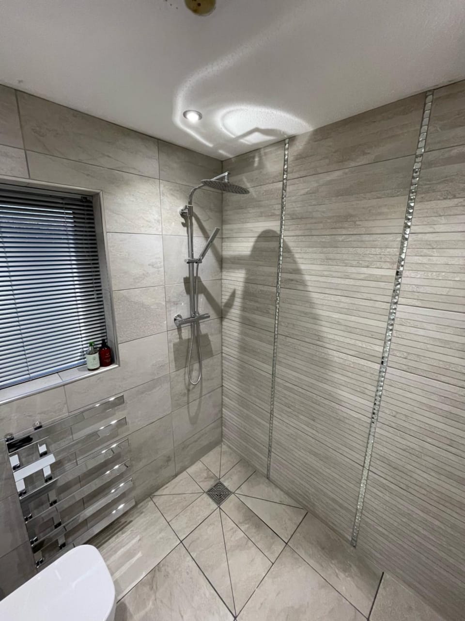 Shower, Toilet