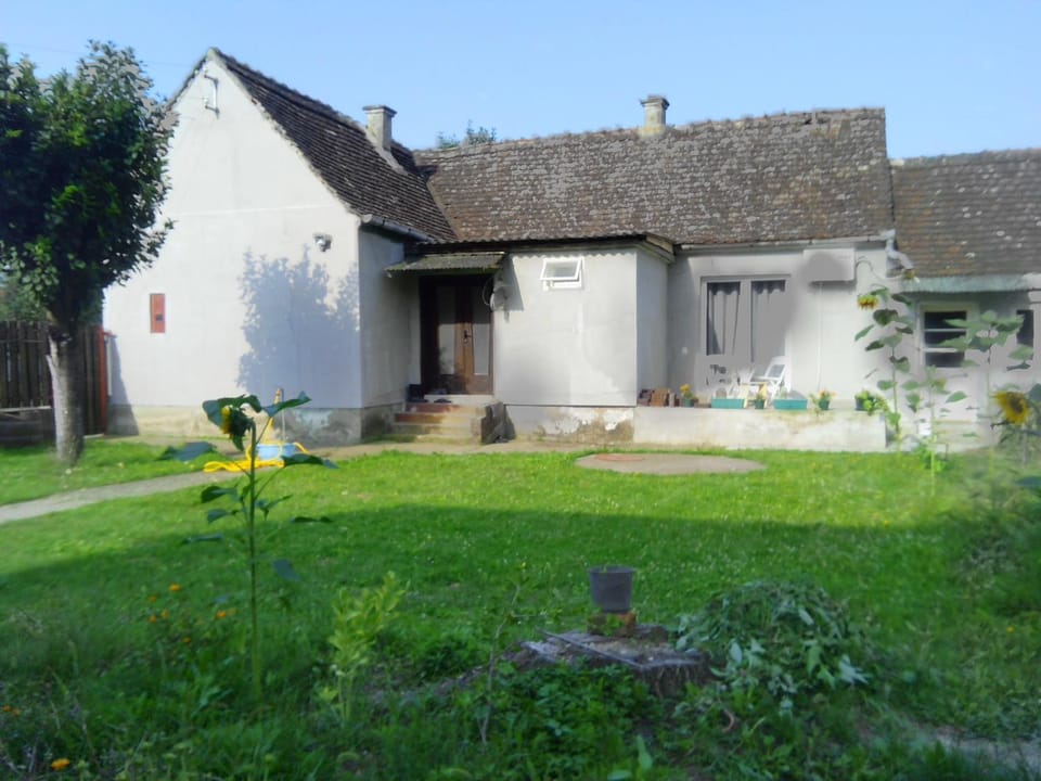 Property building, Garden view