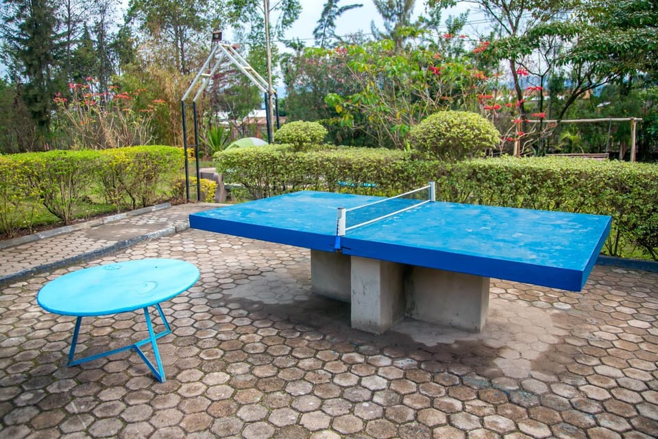 Table tennis