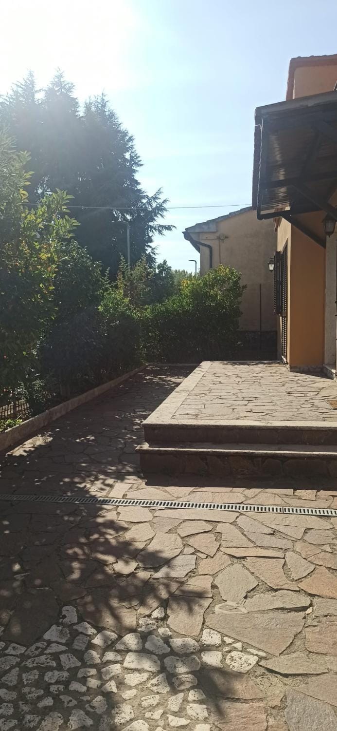 Property building, Day, Garden