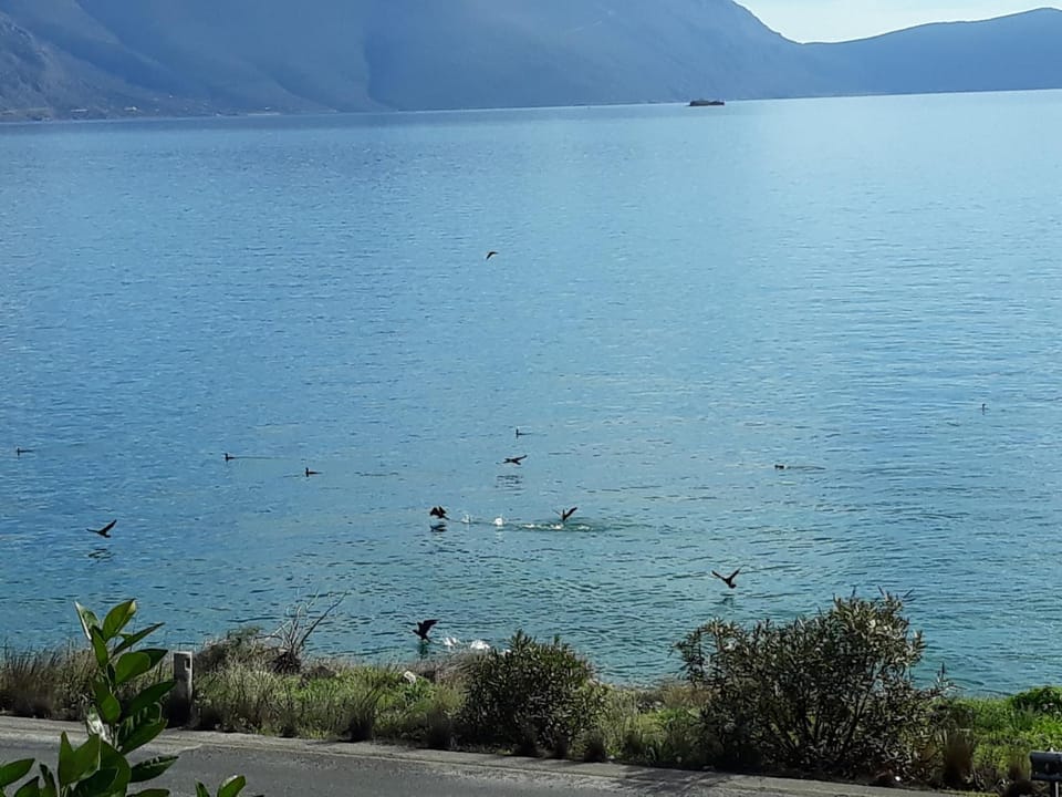 Niriides Apartment in Peloponnese, Western Greece and the Ionian
