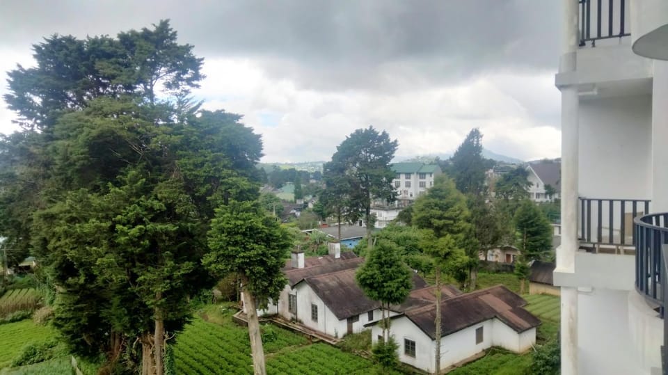 Natural landscape, Balcony/Terrace