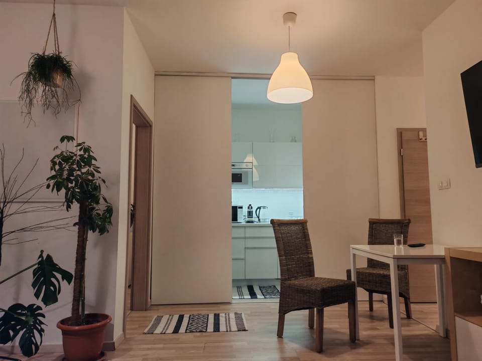 Boho style apartment with garage and large terrace Apartment in Bratislava