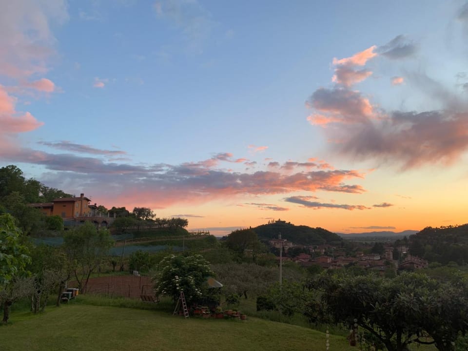 Garden view, Sunset