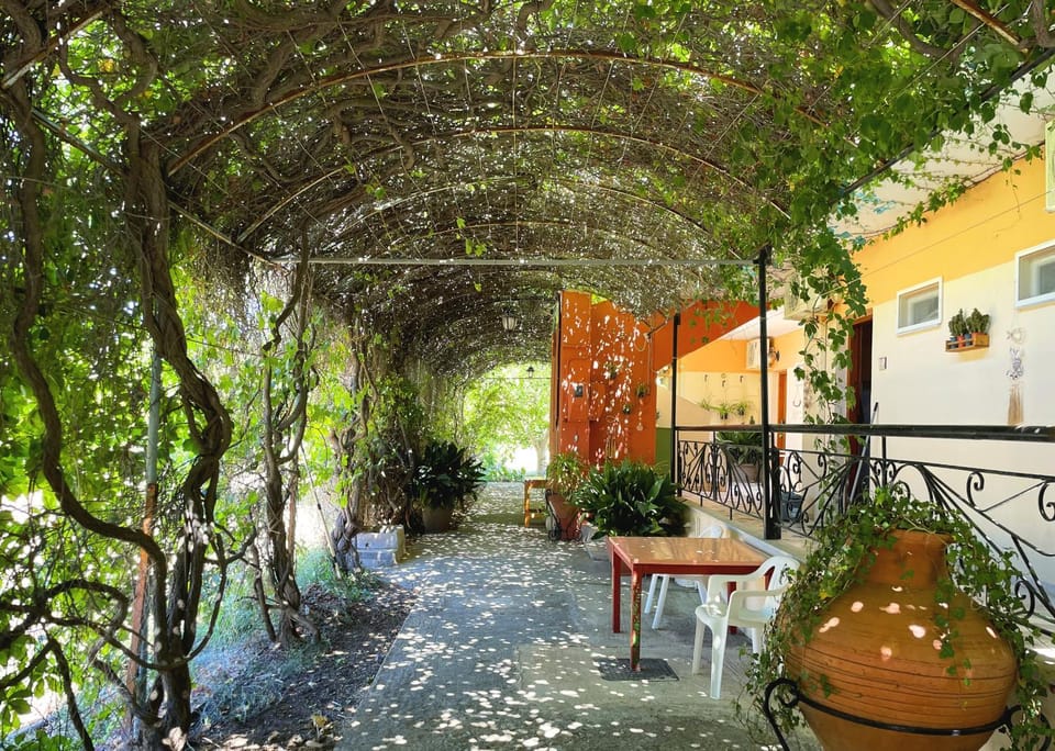 Facade/entrance, Garden, Garden view