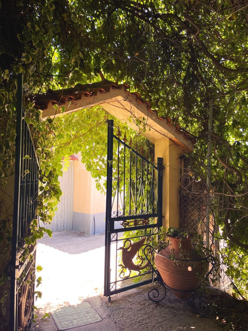 Facade/entrance, Garden, Garden view
