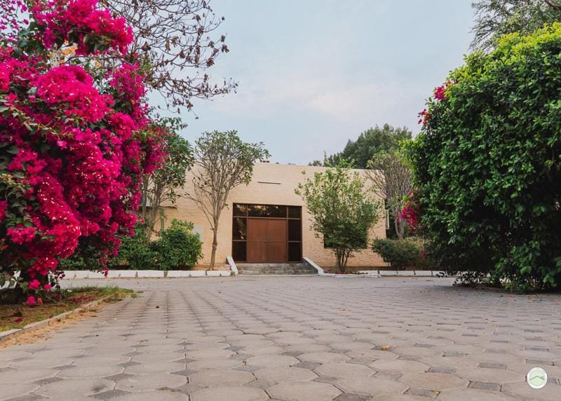 Day, Garden, Garden view