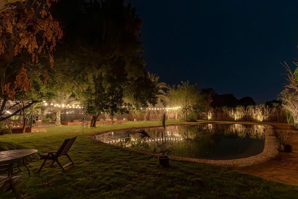 Night, Natural landscape, Garden, Garden view, Lake view