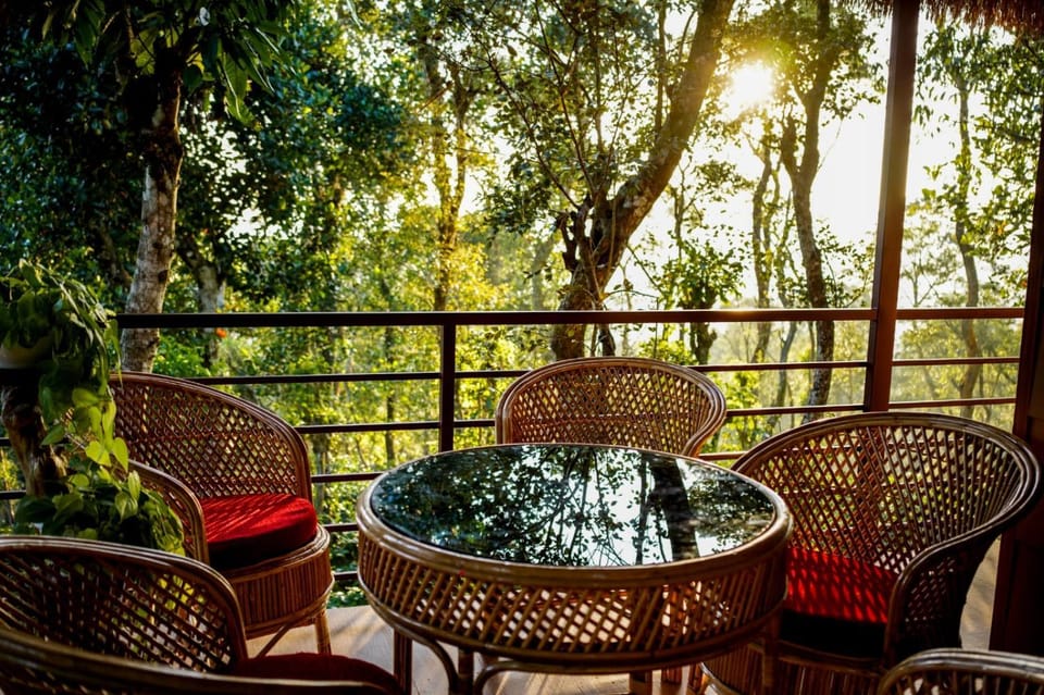 Patio, Day, Natural landscape, Balcony/Terrace, Dining area
