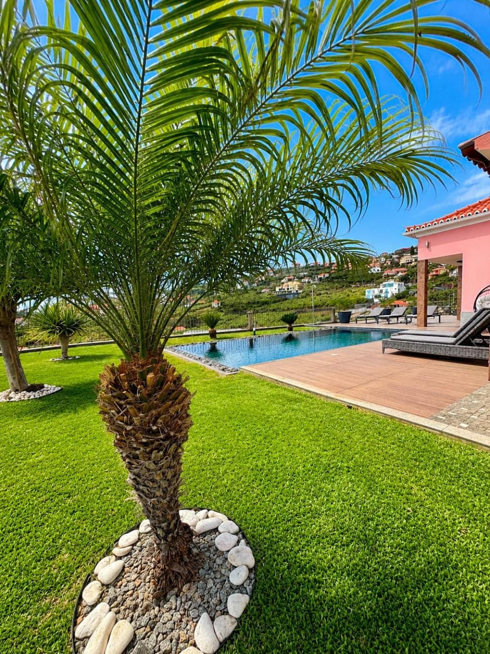Villa Livramento Villa in Madeira District