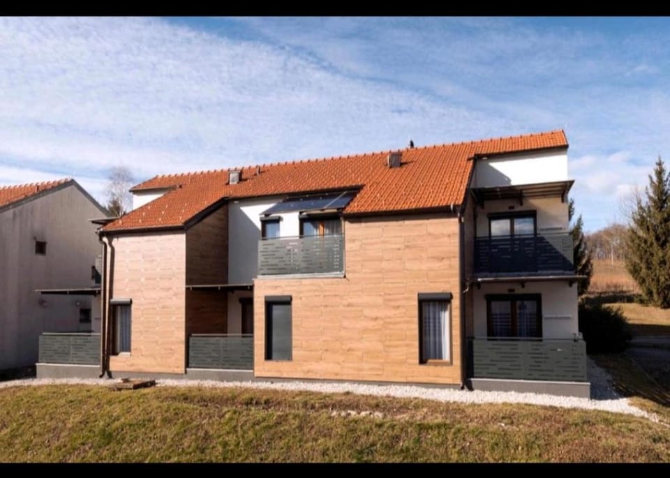 MARTINUS-S SVETI MARTIN Apartment in Slovenia