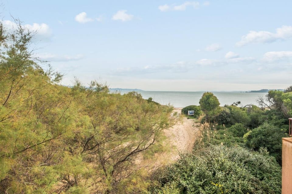 Natural landscape, Beach, Lake view