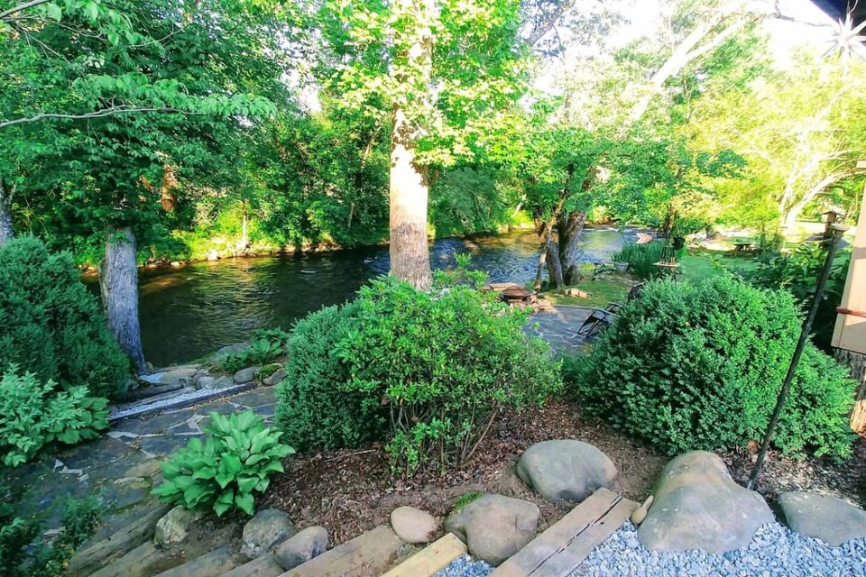 Natural landscape, River view