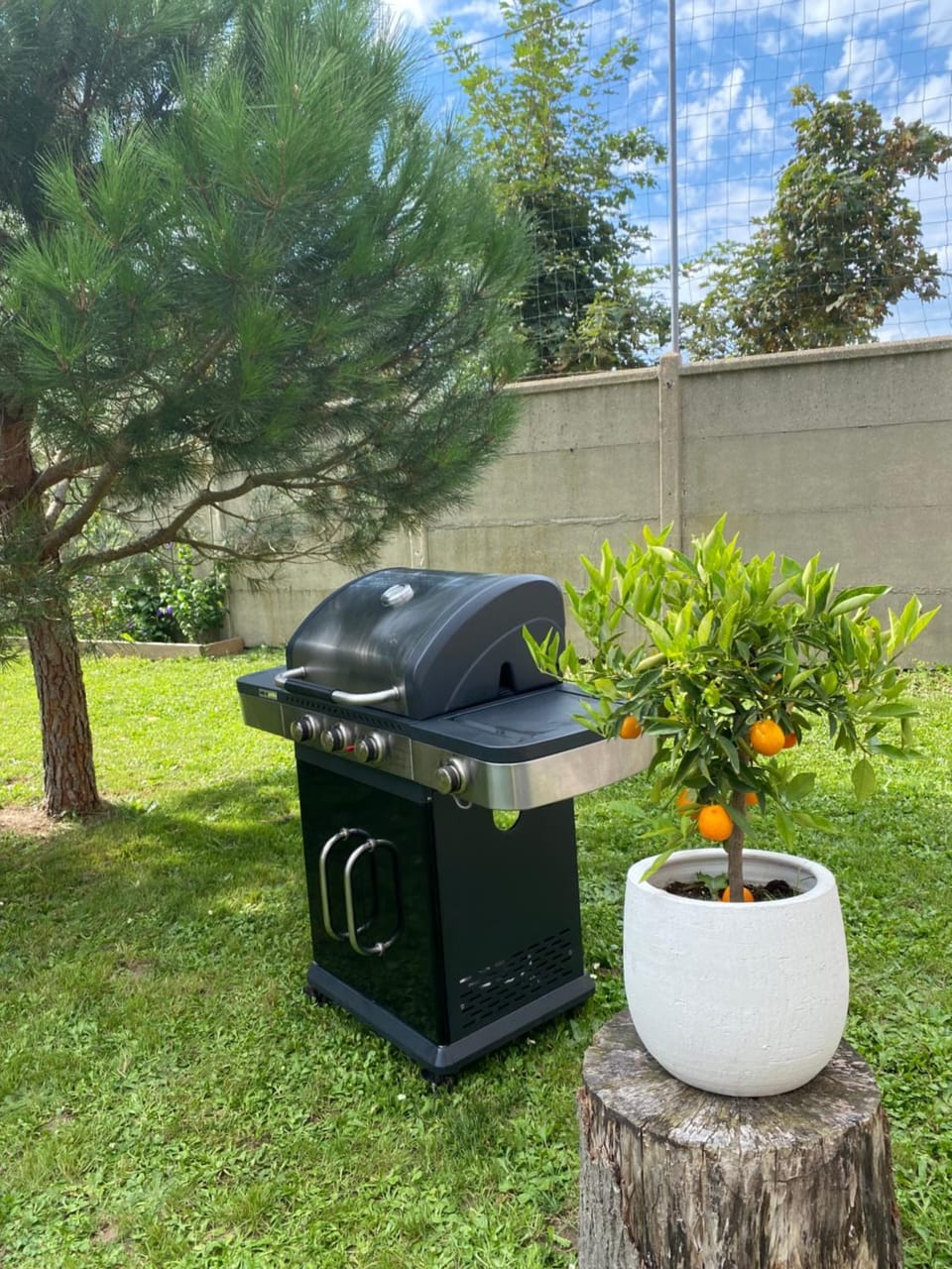 BBQ facilities, BBQ facilities