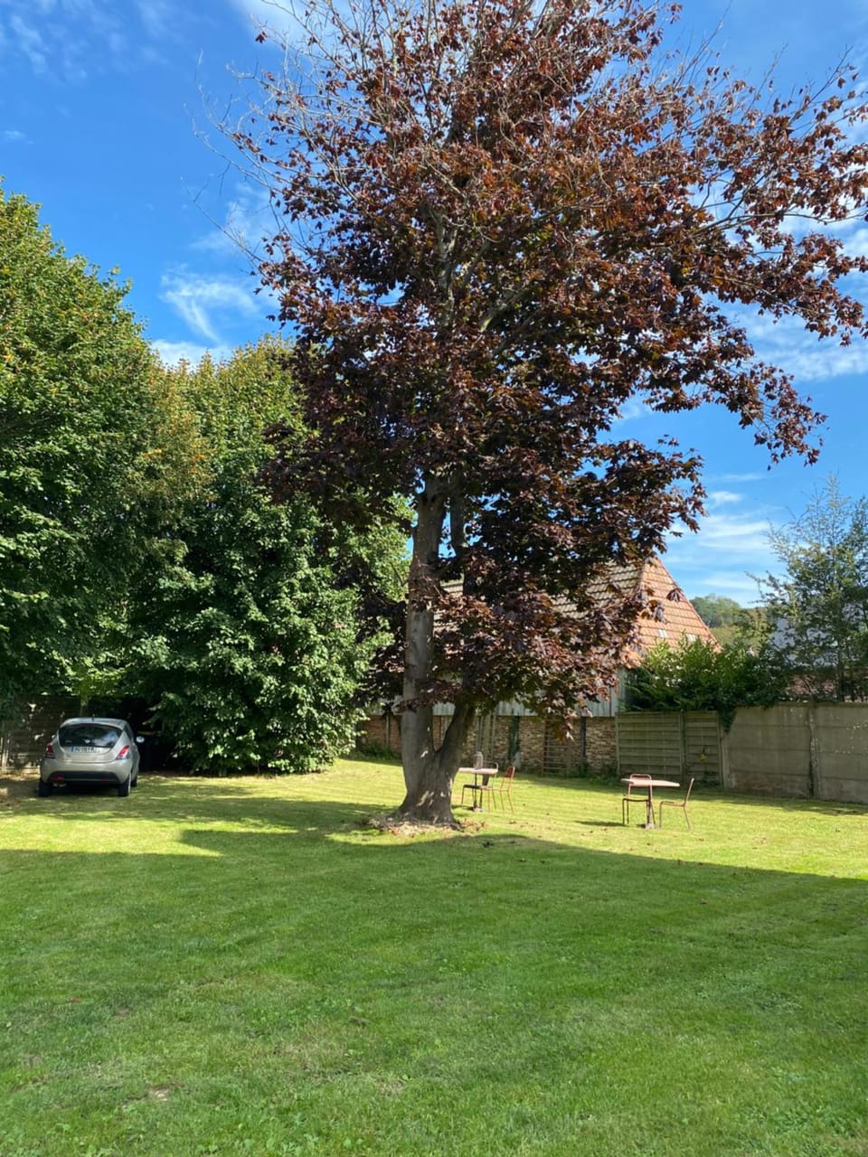 Garden view