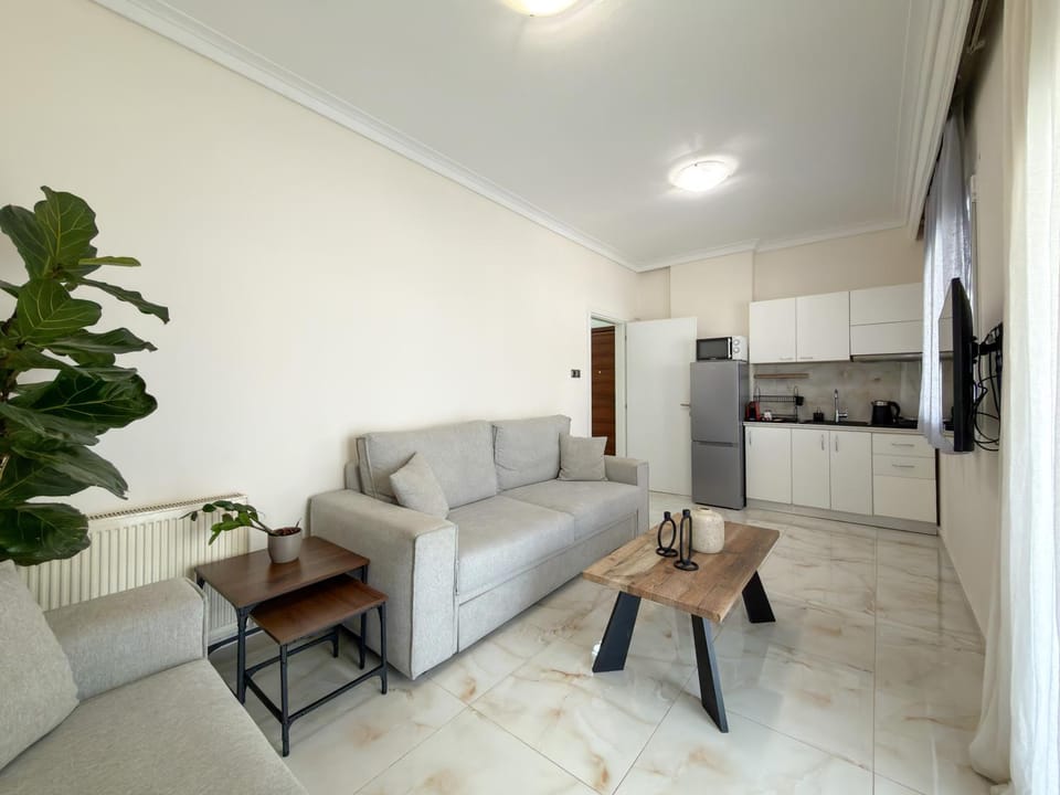 TV and multimedia, Kitchen or kitchenette, Living room, Seating area, internet, air conditioner