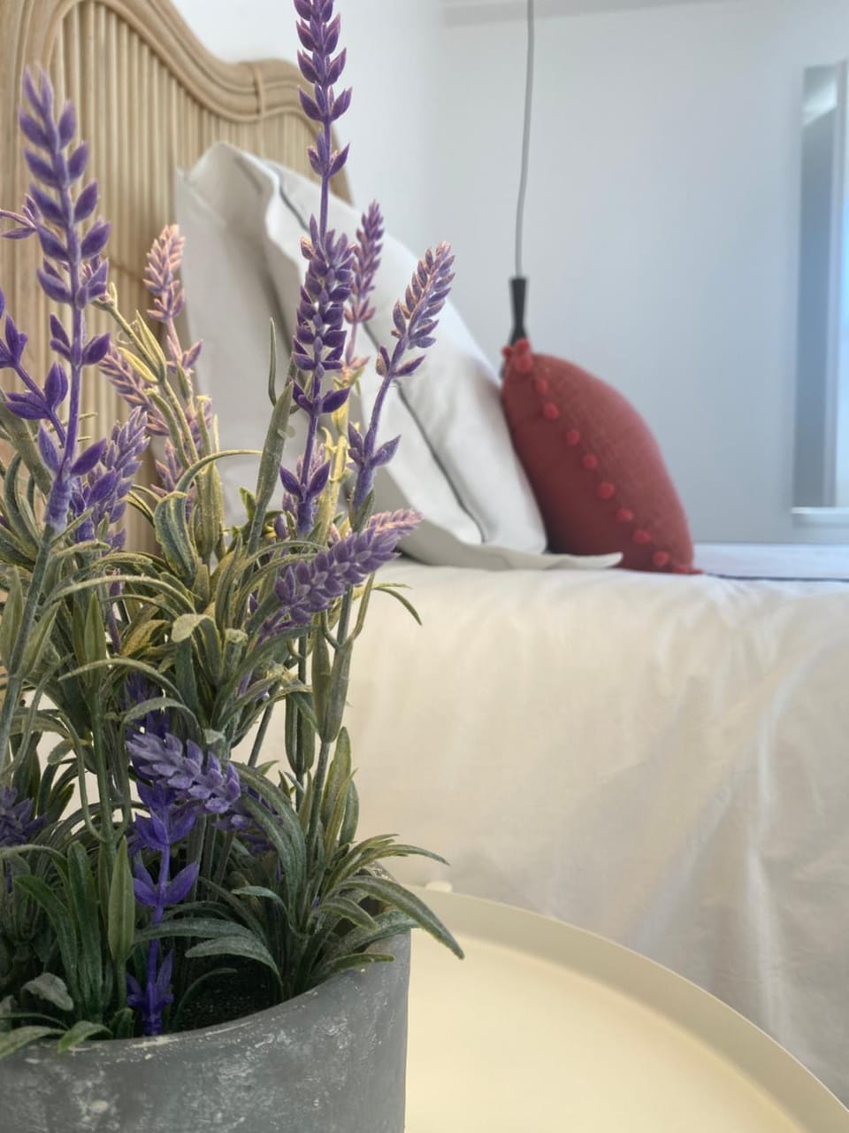 Grândola Suites - Suite Afonso Hostel in Setubal District