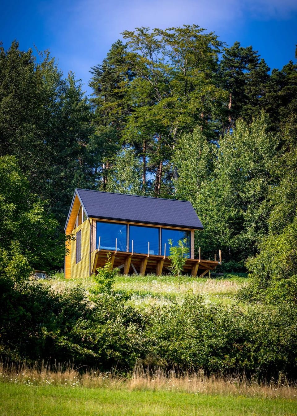 Property building, Natural landscape, Garden, Garden view